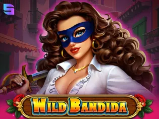 Wild Bandida game cover